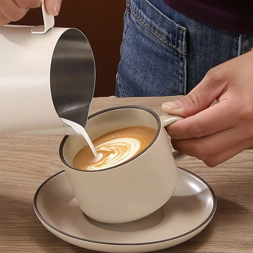 Stainless Steel Milk Frother